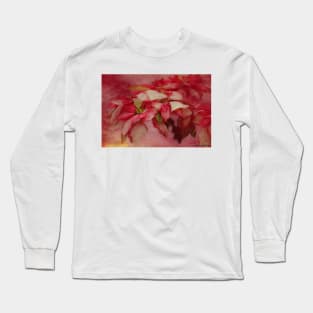 Peppermint Candy Colored Poinsettias Digital Art Long Sleeve T-Shirt